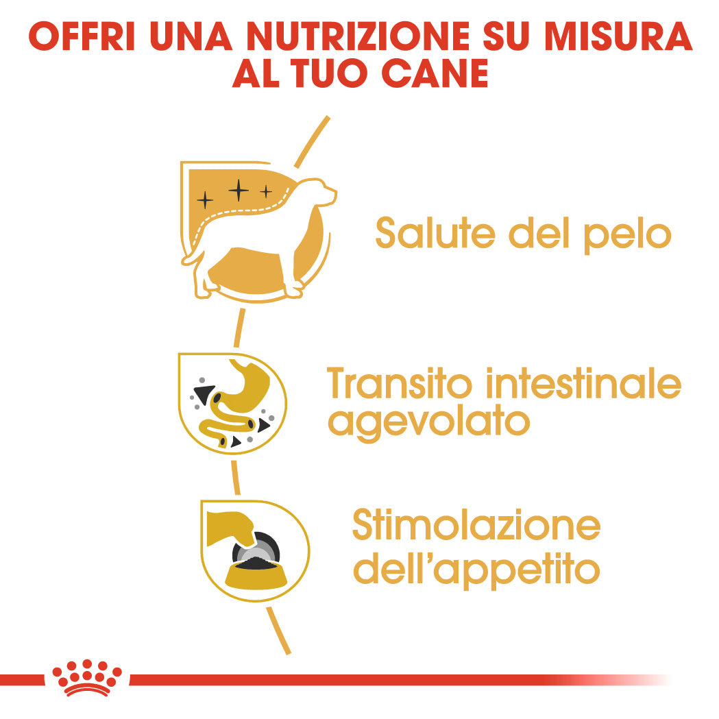 48x85g Royal Canin Chihuahua - Cibo Umido per Cani 48x85g Royal Canin Chihuahua - Cibo Umido per Cani